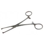 Allis Tissue Forceps 6 Inches SS/OTHER COMPANY