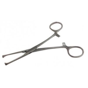 Allis Tissue Forceps 6 Inches SS/OTHER COMPANY