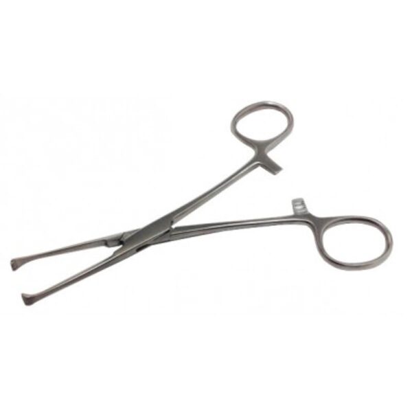 Allis Tissue Forceps 6 Inches SS/OTHER COMPANY
