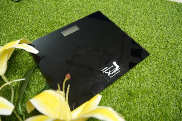 CAMRY Digital Weight Scale - Image 2